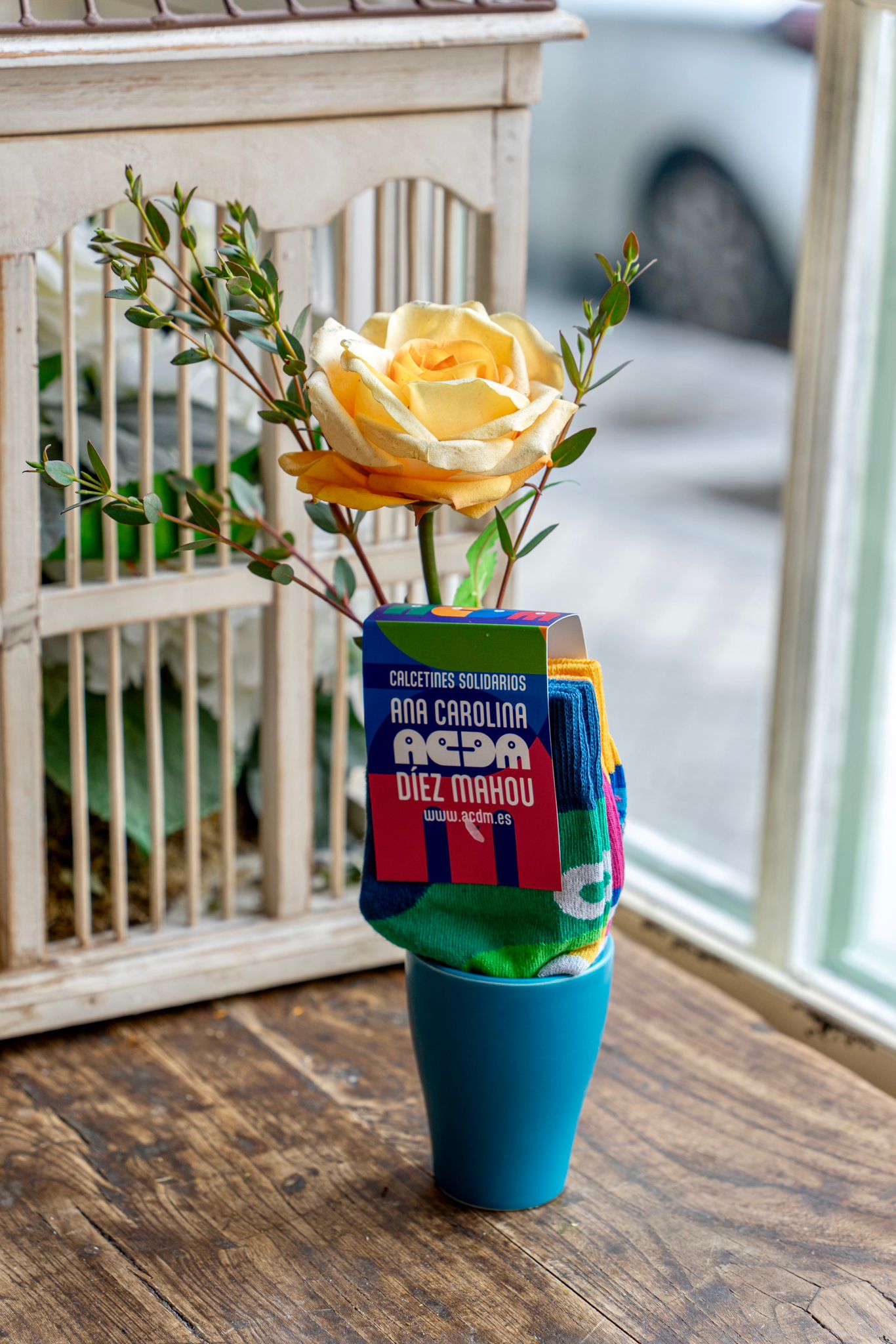 Rosa y duo de calcetines Fundación ACDM